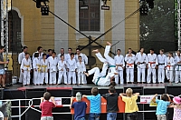 ukazky 2012__10.JPG